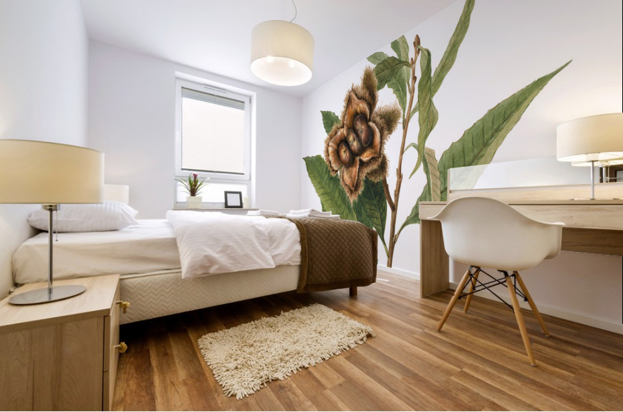 American Chestnut Castanea dentata 1932 Mural print