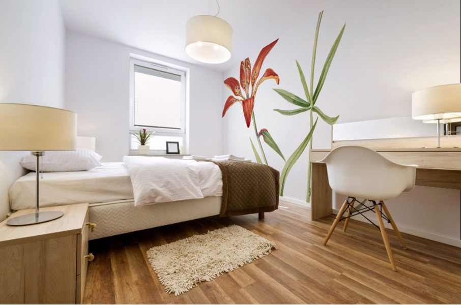 Lily Lilium montanum 1900–1920 Mural print