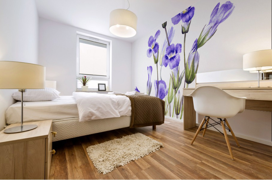 Fringed Gentian Gentiana elegana 1933 Mural print