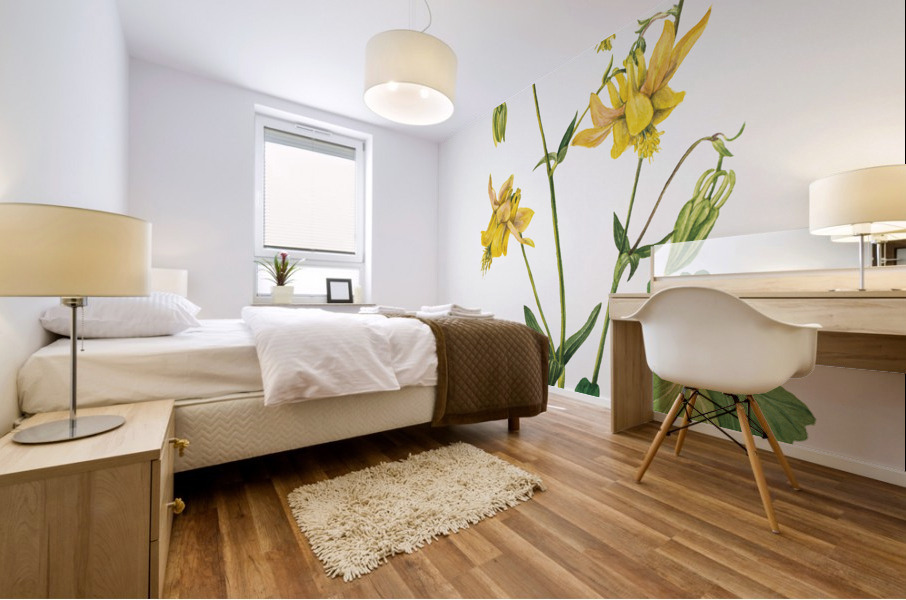 Lemon Columbine Aquilegia flavescens 1925 Mural print