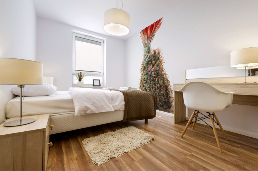 Cucumber Cactus 1939 Mural print