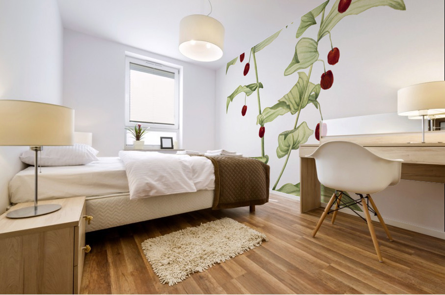 Clasping Twisted Stalk Streptopus amplexifolius 1916 Mural print