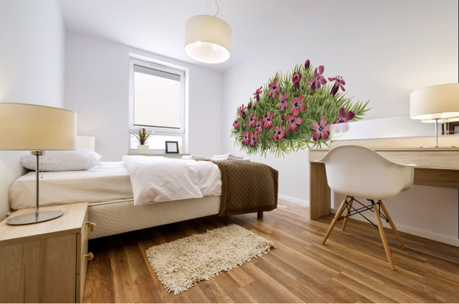 Moss Campion Silene acaulis 1924 Mural print