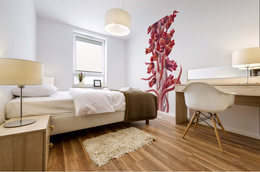 Snow Plant Sarcodes sanguinea 1930 Mural print