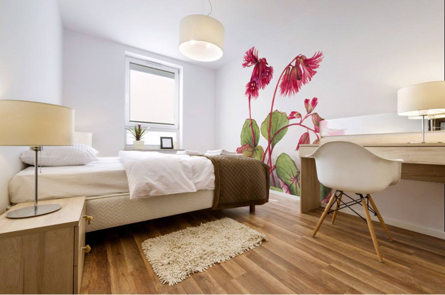 Winterberry Ilex verticillata 1920 Mural print