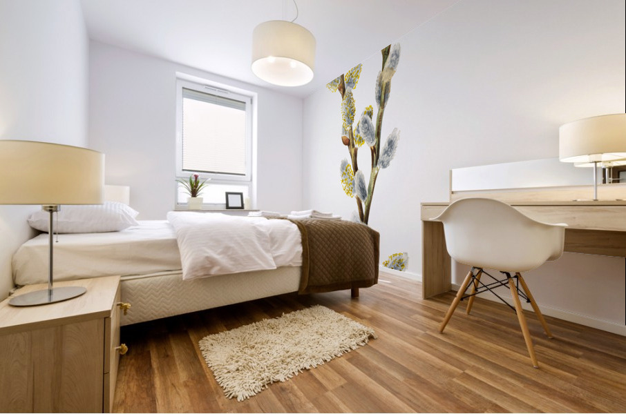 Pussy Willow Salix discolor 1920 Mural print