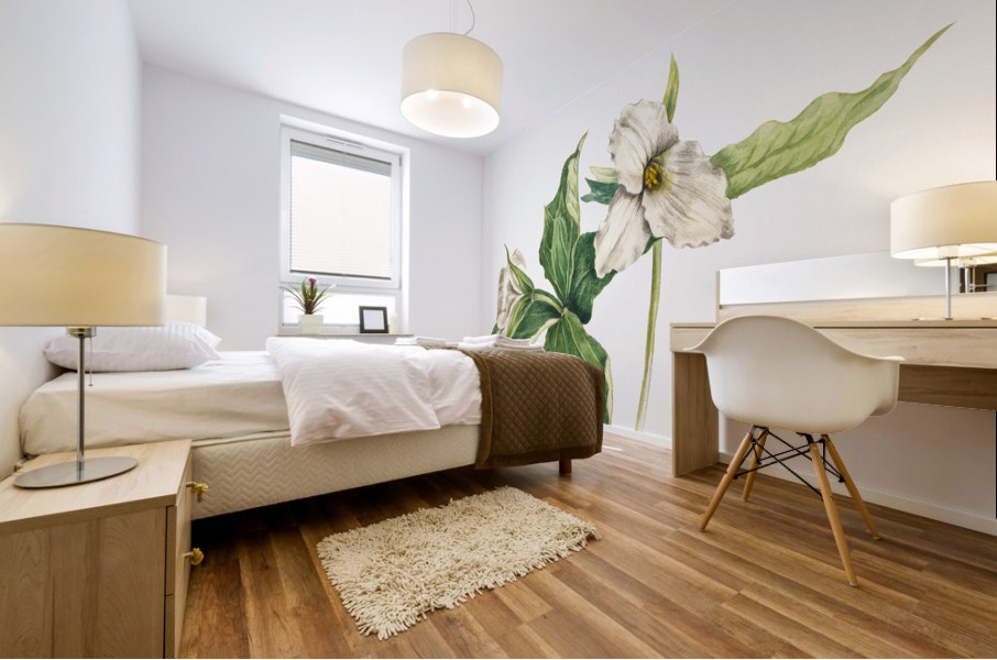 Wake–Robin Trillium grandiflorum 1918 Mural print