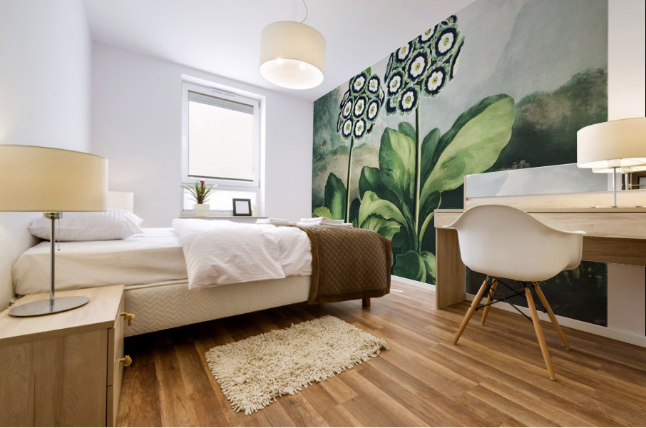 A Group of Auriculas Mural print