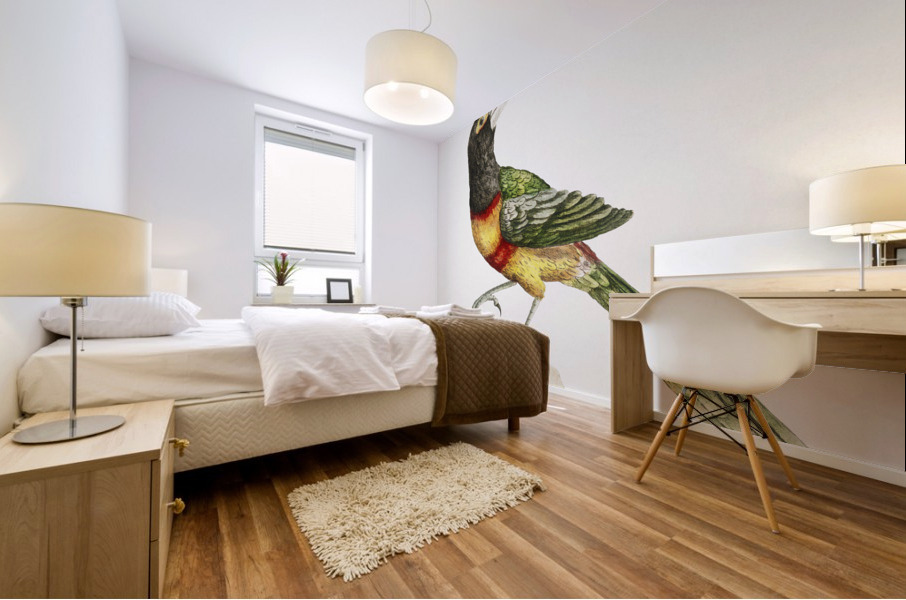 Tucana Aracari Brasilensibus Toucan Mural print