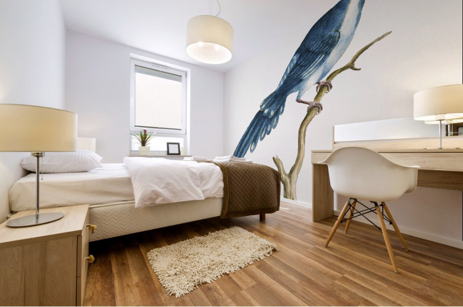 Cucule celeste della China Cuckoo Mural print