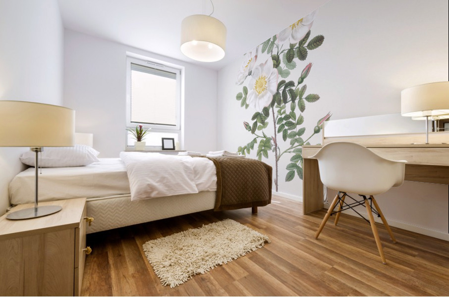 White burnet roses Mural print