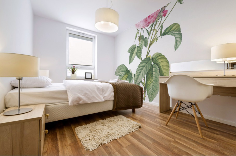 Pink agatha rose Mural print