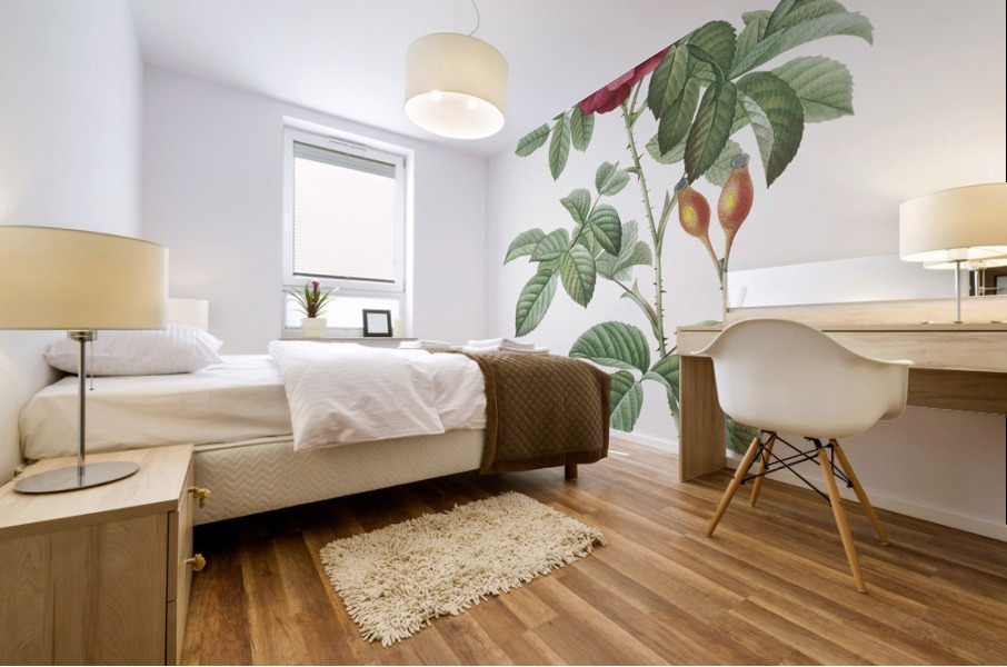 Blooming red postrland rose Mural print