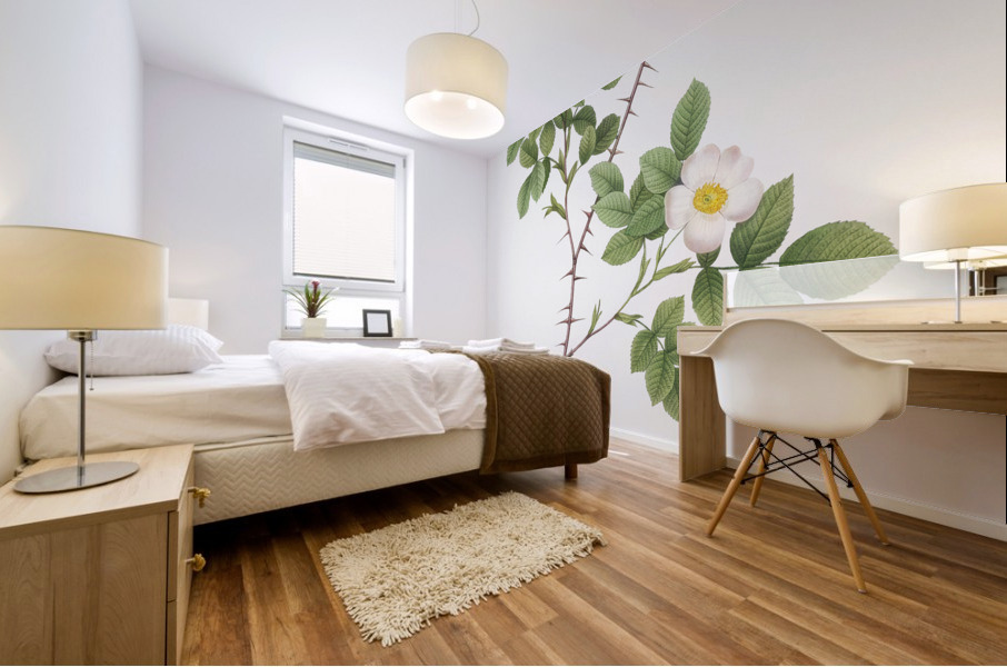 Vintage Rose of Dematra Mural print