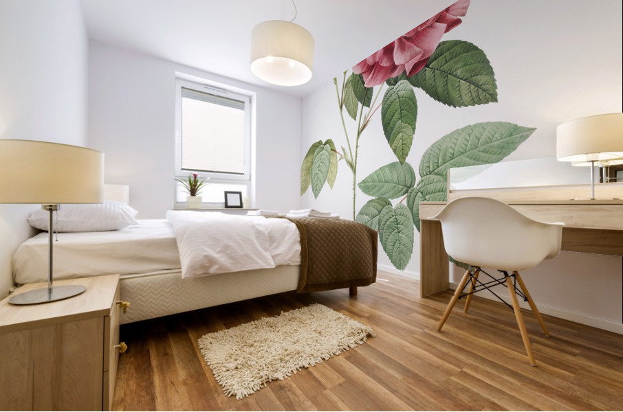 Vintage rosa gallica rose Mural print