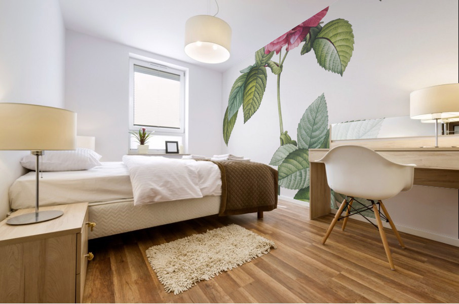 Pink french roses Mural print