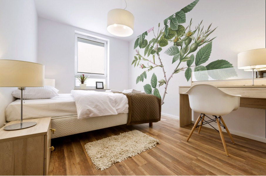 Vintage malmedy rose Mural print