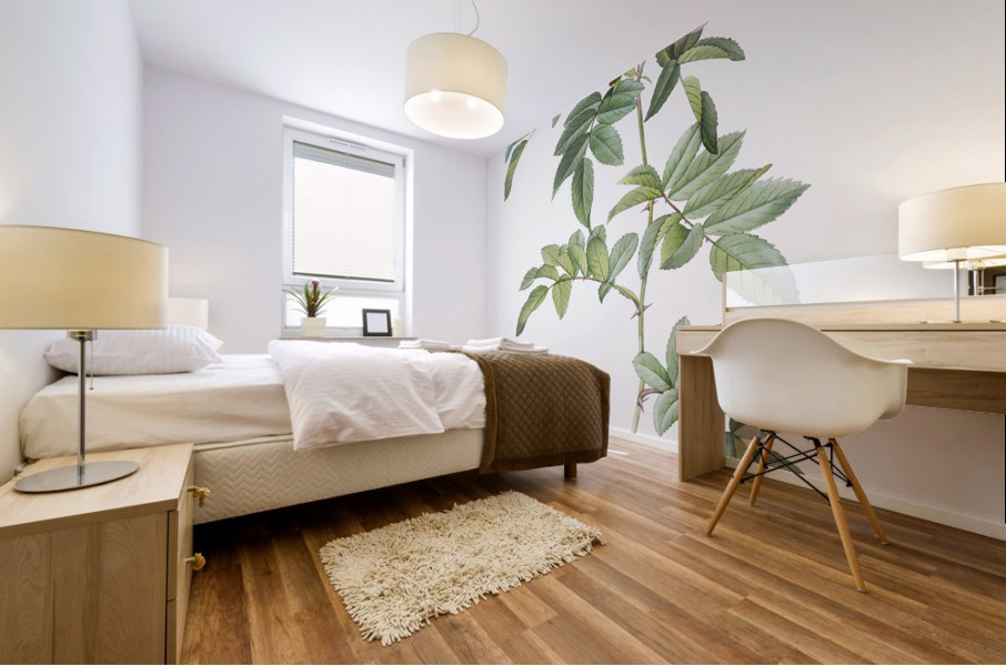 Rosa lucida rose Mural print