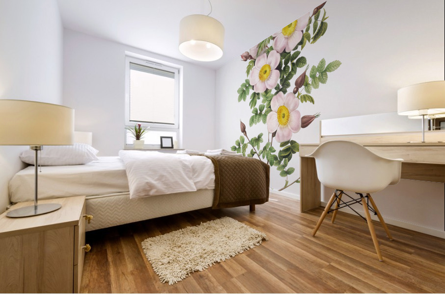 Vintage thornless Burnet rose Mural print