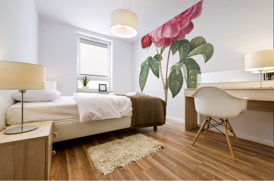 Vintage french rose Mural print