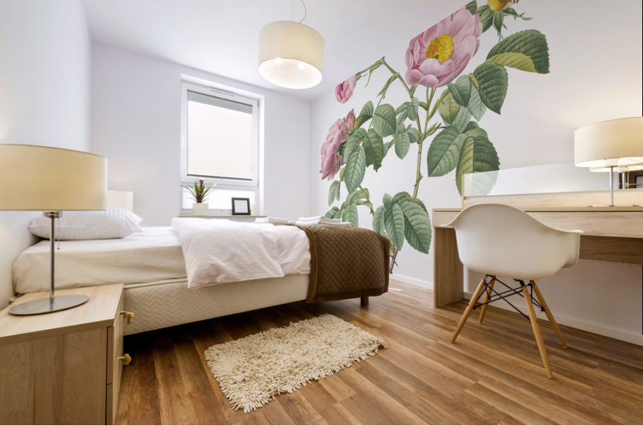 Pink roses in bloom Mural print