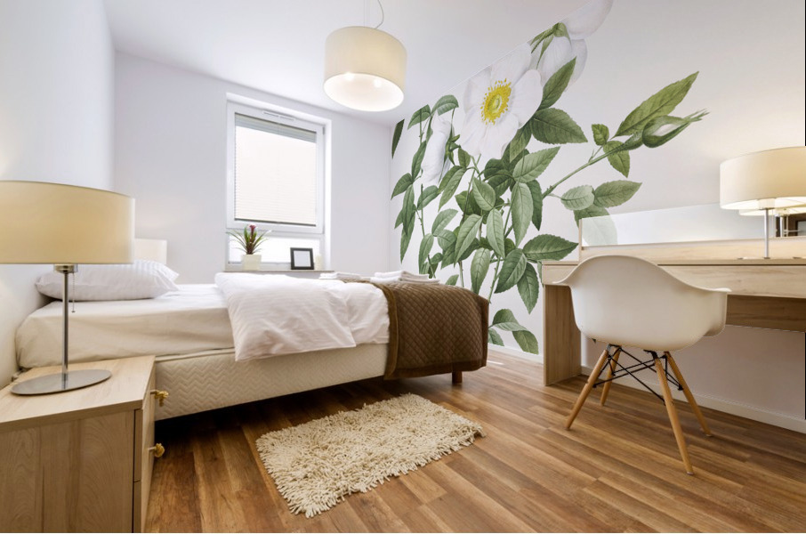 Blooming white roses Mural print