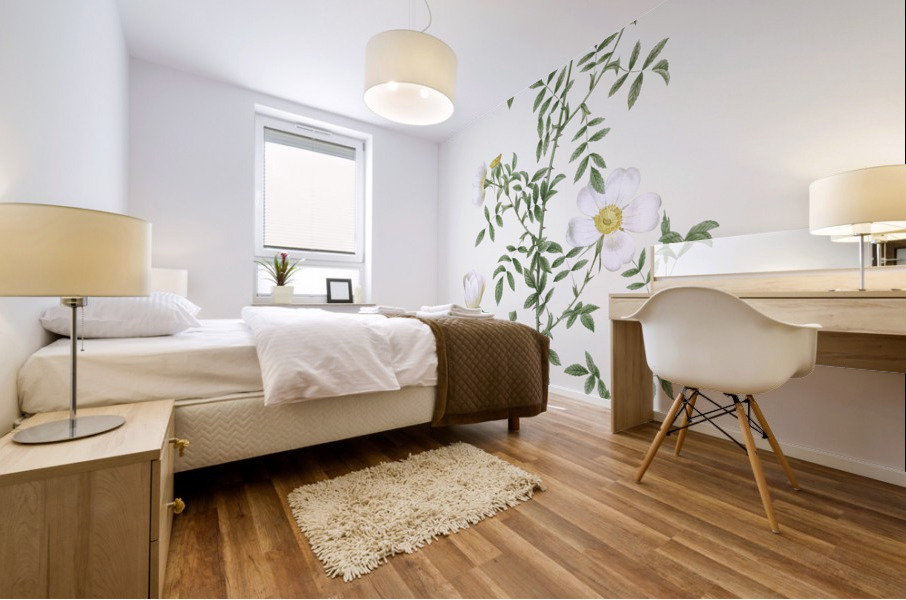 Vintage hedge rose Mural print