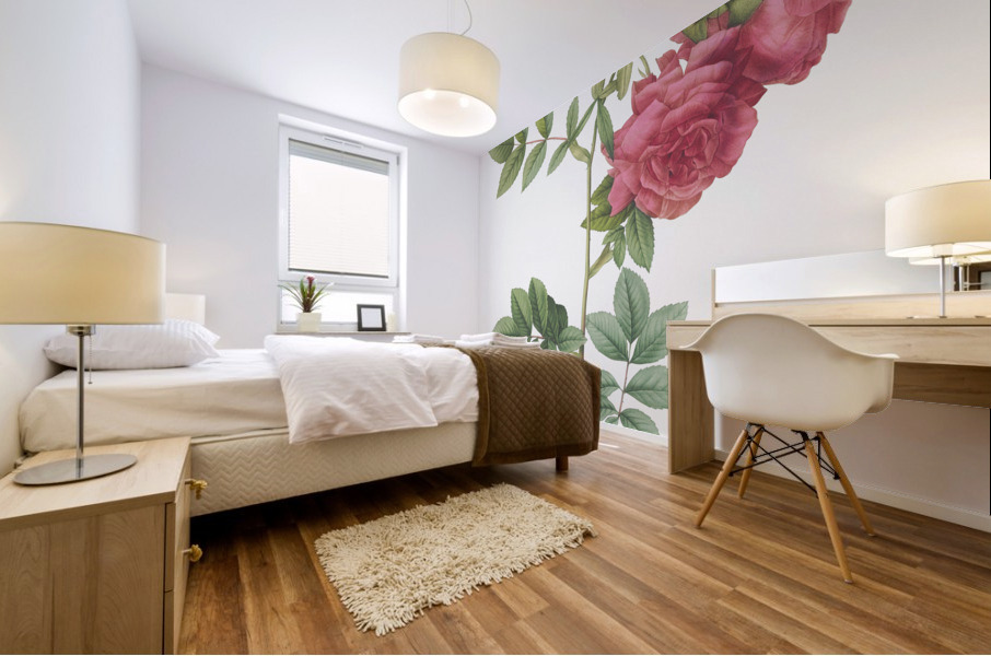 Yellow sweetbriar rose Mural print