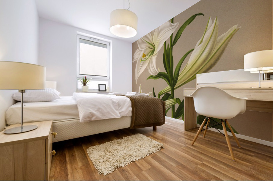 Album van Eeden : Haarlems flora : 1872-1881 Mural print