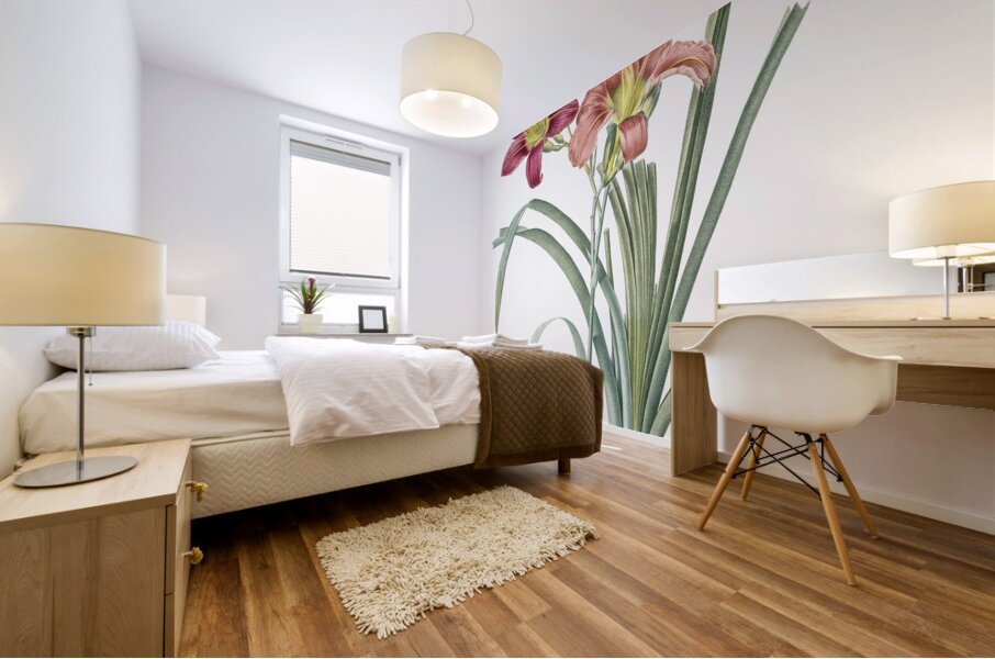 Orange day lily illustration  Mural print