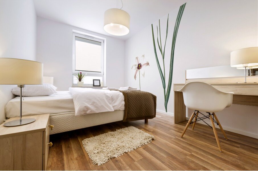 Lady tulip illustration  Mural print