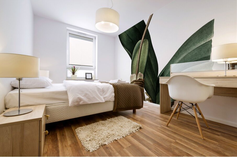 Blood lily illustration  Mural print