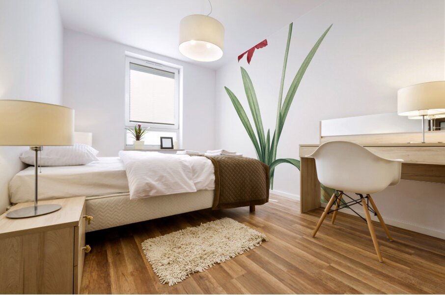 Hippeastrum illustration  Mural print