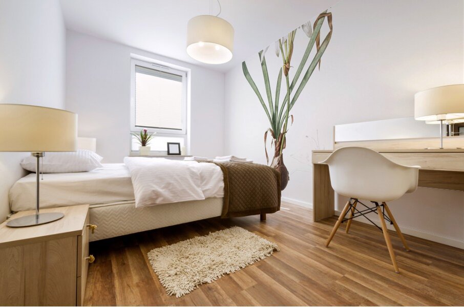 Sea daffodil illustration  Mural print