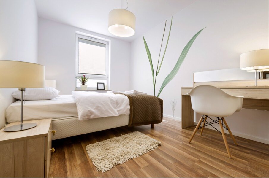 Tulipa sylvestris illustration  Mural print