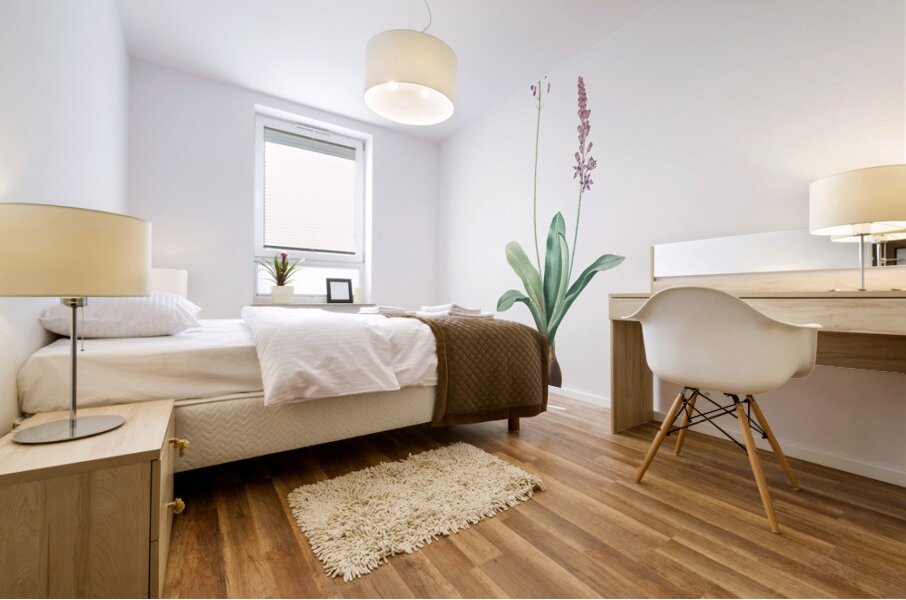 Scilla obtusifolia illustration  Mural print