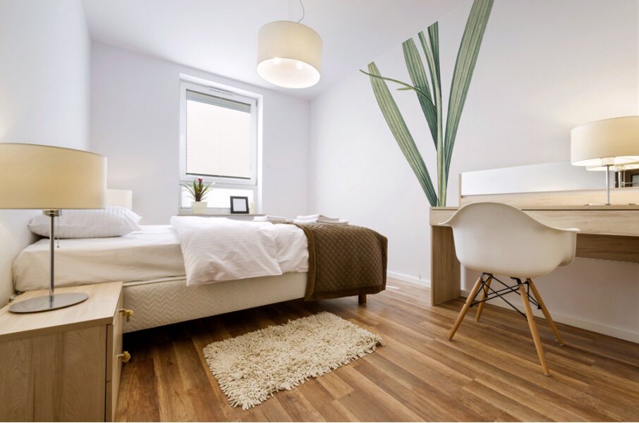 Gladiolus mucronatus illustration  Mural print