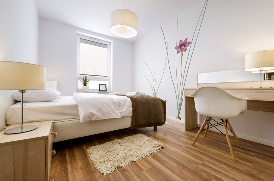 Crocus leaved romulea Ixia bulbocodium illustration  Mural print