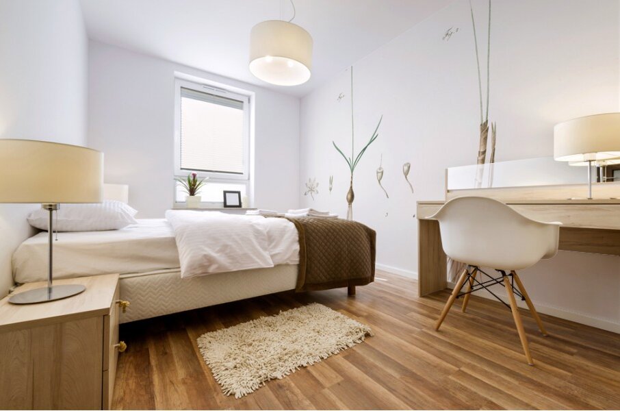 Leucoium trichophyllum illustration  Mural print