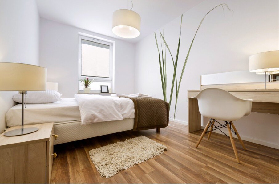 Ixia conica illustration  Mural print