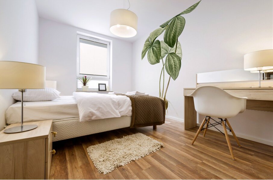 Trillium rhomboideum illustration  Mural print