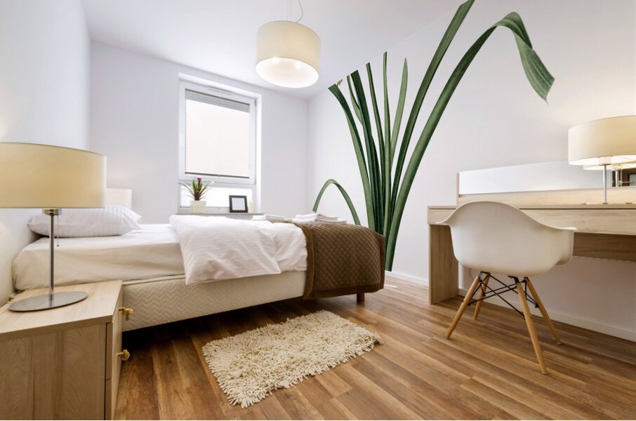 Summer snowflake illustration  Mural print