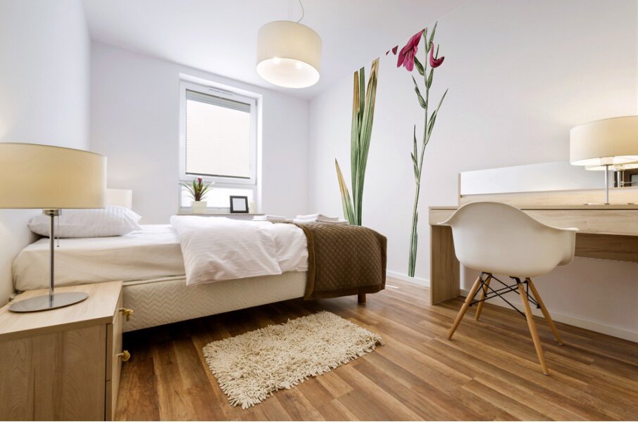 Eastern gladiolus illustration  Mural print