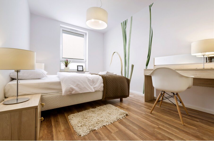 Carolina redroot illustration  Mural print