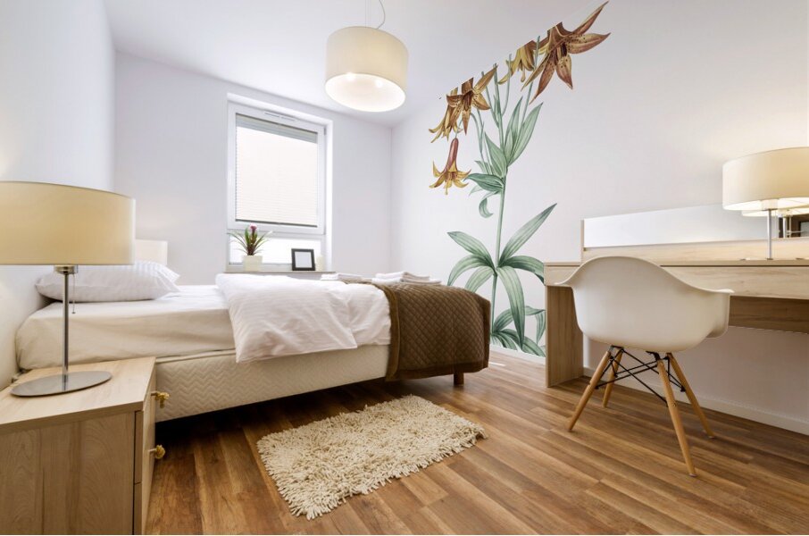 Canada lily illustration  Mural print