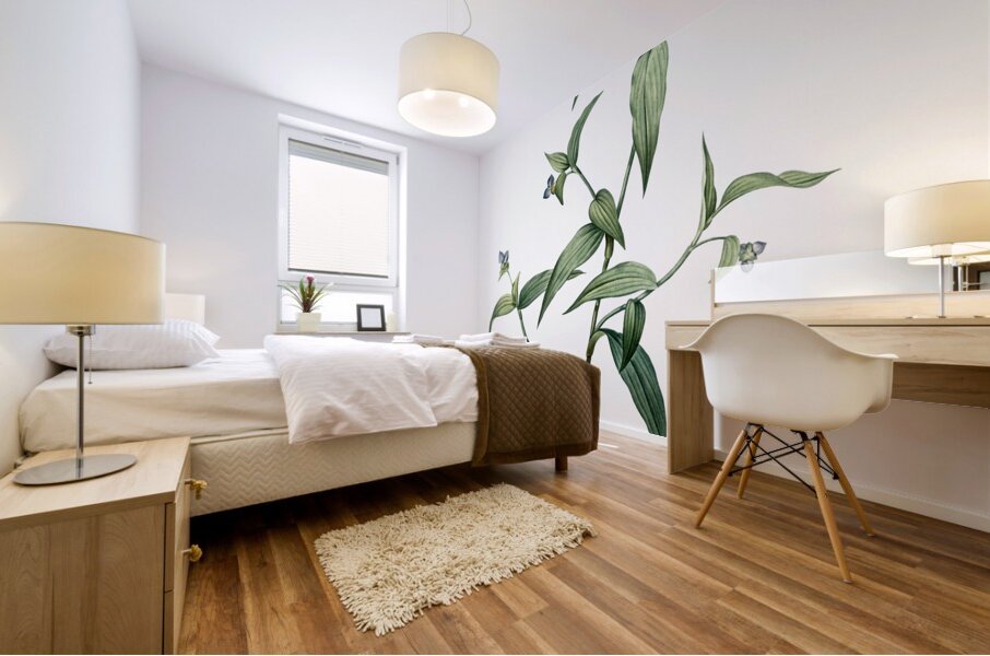 Canada lily illustration  Mural print