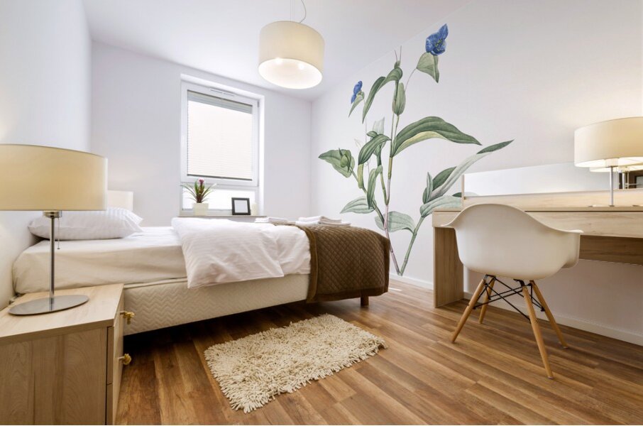 Blue spiderwort illustration  Mural print