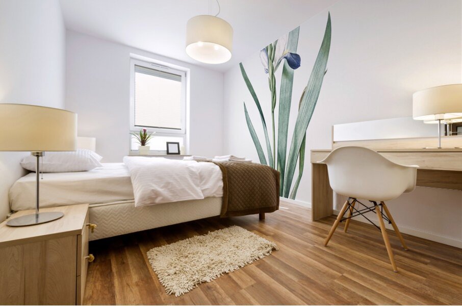 Tall bearded iris illustration  Mural print