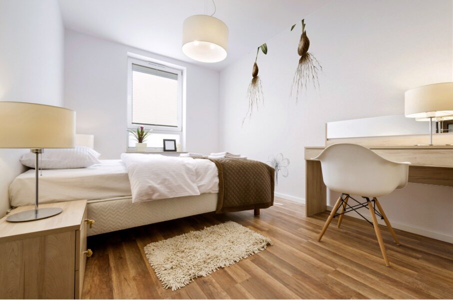 Cape tulip illustration  Mural print