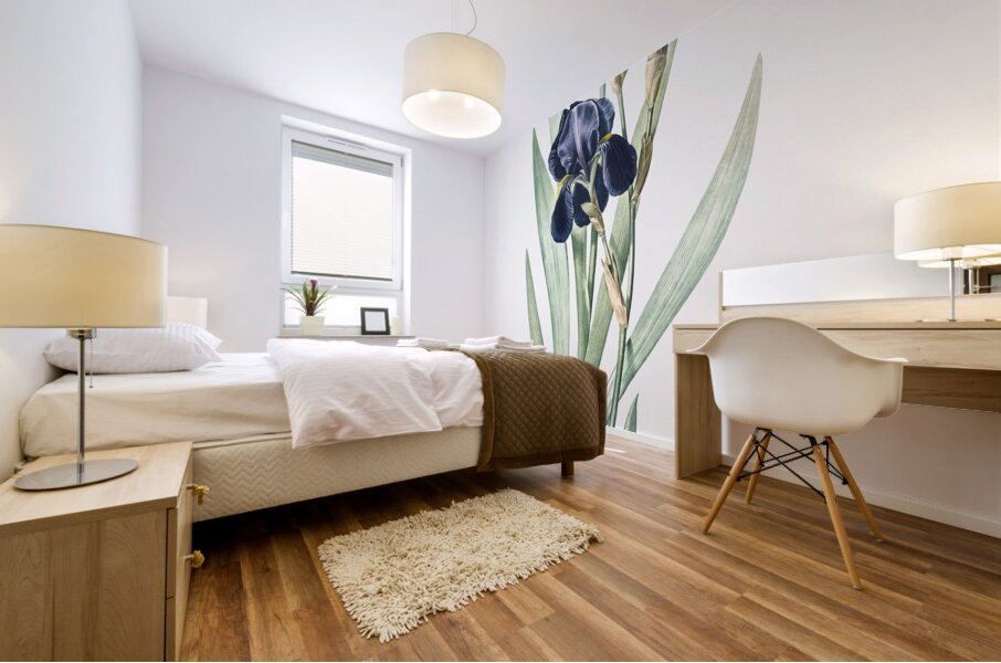German iris illustration  Mural print